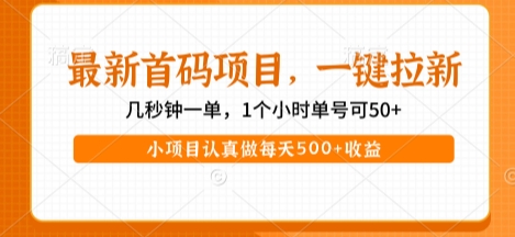 “首码暴利新项目：1小时50+收益，日赚500+实操攻略”-小伟资源网