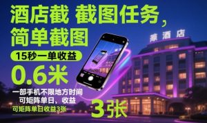 酒店截图任务:简单操作15秒赚0.6元,手机随时随地可做,矩阵操作日收益揭秘-小伟资源网