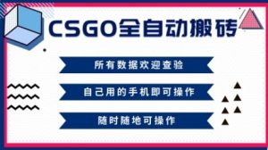 CSGO全自动搬砖项目揭秘：新手轻松入门，当天见效，月入过万攻略-小伟资源网