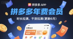 拼多多年费会员真实使用经验分享:2023年11月最新实操干货全解析-小伟资源网