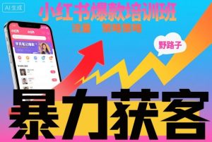 小红书获客实战培训班：掌握高效引流技巧实现持续客户增长-小伟资源网