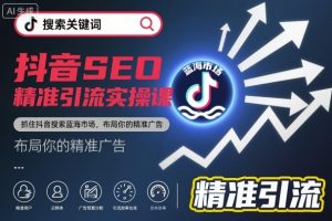 抖音SEO精准引流实操课：抢占搜索蓝海市场，高效布局精准广告策略-小伟资源网