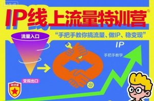 IP线上流量特训营:从零开始掌握流量获取、个人品牌打造与稳定变现技巧-小伟资源网