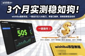 wishlba最新项目实测3个月稳定收益，单窗口日入50美元一键操作教程-小伟资源网
