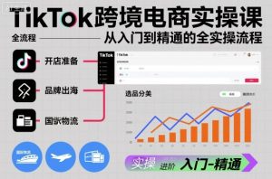 TikTok跨境电商实操课：从入门到精通的全流程实战指南-小伟资源网