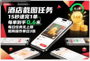 酒店截图任务新玩法揭秘：15秒完成一单，每单收益0.6元，任务无上限，矩阵操作日入3张详细教程-小伟资源网