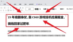 CSGO游戏挂机捡漏攻略:2025年底实现收益,轻松赚钱回家过年-小伟资源网