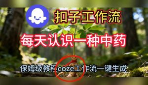 保姆级教程：一键生成每日中药短视频的Coze扣子工作流搭建教学-小伟资源网