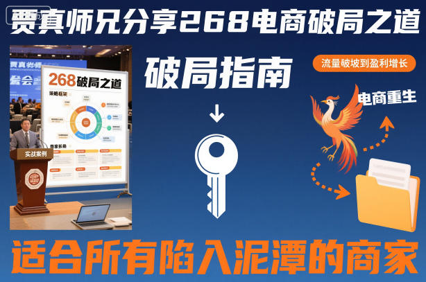 贾真师兄分享268电商破局之道：适合所有陷入困境商家的实用指南-小伟资源网