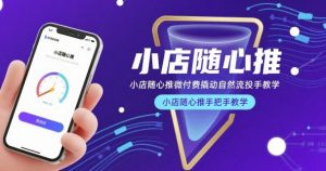 小店随心推微付费撬动自然流投手教学：手把手教你玩转小店随心推-小伟资源网