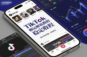 TikTok视频搬运解说教程：轻松上手实现稳定收益，批量操作长期有效-小伟资源网