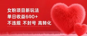女粉项目新玩法：单日收益突破六位数，安全合规高转化秘籍公开-小伟资源网