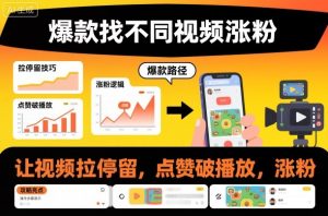 【全网最火】找不同挑战！你能坚持到第几关？眼力大考验，99%的人卡在第三关！-小伟资源网