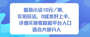 番茄小说10米每单实拍玩法零成本好上手,详细实操教程与平台入口适合大部分人-小伟资源网