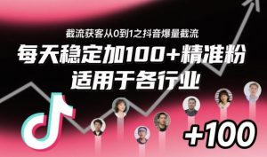 抖音爆量截流获客实战指南：从零开始日增精准粉丝100+，全行业适用-小伟资源网