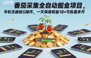 手机挂机自动采集番茄掘金项目，日收益18+支持多开批量操作教程-小伟资源网