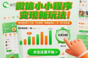 微信小程序赚钱新方法：零基础快速上手，当天实现稳定日收入-小伟资源网