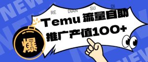Temu商家如何实现精准曝光与排名提升？揭秘日收入80-130的运营技巧-小伟资源网