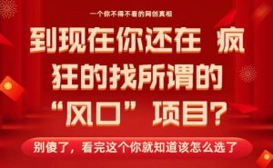 揭秘:2026年将至,你还在追逐风口项目?真相全解析!-小伟资源网