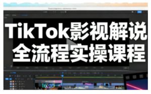 TikTok影视解说爆款视频全流程实操指南：手把手教你打造热门解说内容-小伟资源网