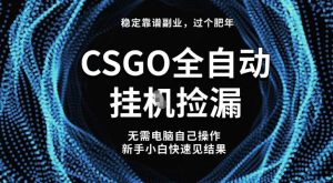 CSGO全自动捡漏稳定副业，新手日入500+最新玩法揭秘-小伟资源网