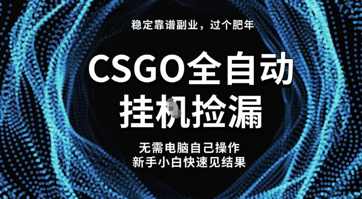 CSGO全自动捡漏稳定副业，新手日入500+最新玩法揭秘-小伟资源网