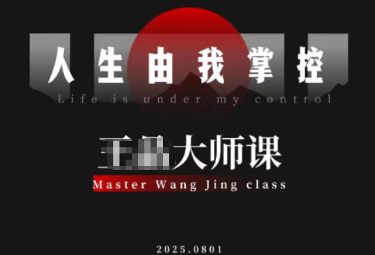 素人快速进阶指南：掌握流量破局实现商业价值提升-小伟资源网