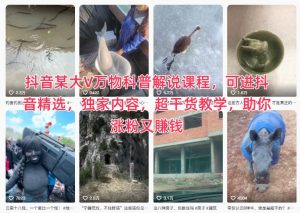 抖音大V万物科普课程：独家干货教学，助你涨粉赚钱，快速掌握精选内容创作-小伟资源网