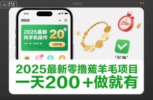 2025最新零撸项目揭秘：手机操作20秒一单，无门槛日赚200+稳定收益-小伟资源网