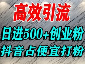 抖音创业粉引流秘籍：利用占便宜心理日增500+精准流量实战指南-小伟资源网