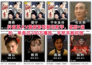 抖音影视解说教学:从基础到进阶,手把手教你制作百万播放爆款视频-小伟资源网