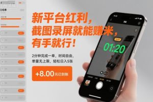 揭秘新平台红利:截图录屏轻松赚钱,时间自由单量无上限,日入500元实操指南-小伟资源网