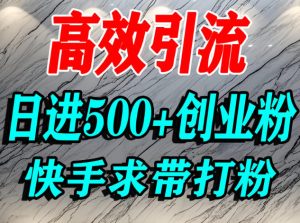 快手创业粉引流技巧：宝妈与学生群体日增500+精准流量方法-小伟资源网