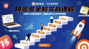 拼多多实战课程2025年10月新版：从小白到运营高手的全阶教程与全年更新实战玩法-小伟资源网