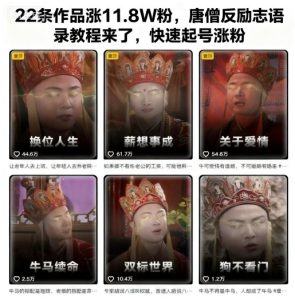 唐僧反励志语录教程：22条作品涨粉11.8万，快速起号实战指南-小伟资源网
