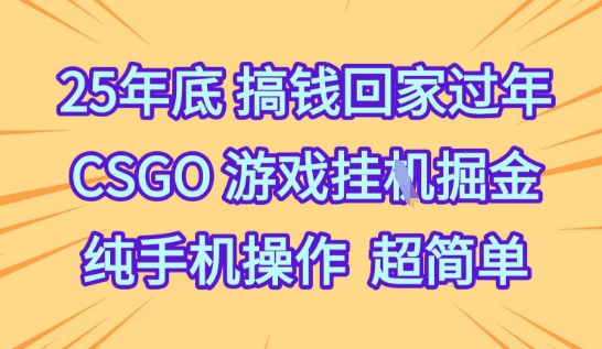CSGO游戏挂机赚钱项目揭秘：2025年底前手机轻松操作实现回家过年目标-小伟资源网
