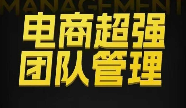 电商团队高效管理：绩效优化与分权合伙执行策略-小伟资源网