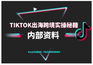 TikTok跨境电商从0到1搭建运营全攻略：最新实操秘籍（10月更新版）-小伟资源网
