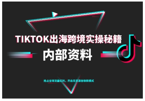 TikTok跨境电商从0到1搭建运营全攻略：最新实操秘籍（10月更新版）-小伟资源网