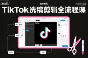 TikTok与Premiere Pro洗稿剪辑运营全流程实战课程-小伟资源网
