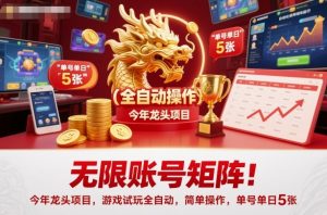 今年龙头项目揭秘：全自动游戏试玩，简单操作单号日入5张-小伟资源网