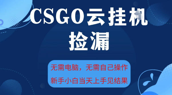CSGO云挂机全自动捡漏攻略：新手轻松日赚500+，手机操作无需电脑【独家揭秘】-小伟资源网