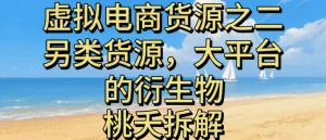 虚拟电商新趋势：探索大平台衍生的另类货源模式-小伟资源网