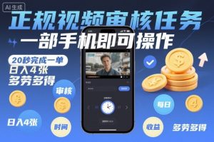 手机视频审核任务,20秒一单,日赚百元,多劳多得-小伟资源网