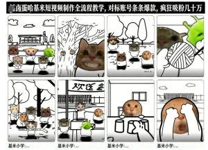 卤蛋哈基米短视频制作全流程教学：打造爆款内容，轻松吸粉几十万-小伟资源网