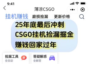 12月CSGO游戏挂机捡漏赚钱攻略:手机轻松日入500+方法揭秘-小伟资源网