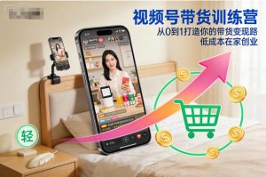 视频号带货训练营:零基础在家创业,低成本实现带货变现全攻略-小伟资源网