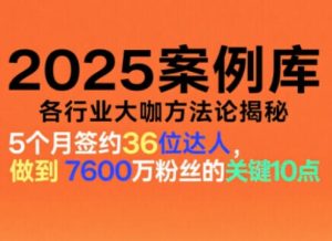 2025案例库:揭秘各行业大咖核心方法论,助力实战应用-小伟资源网