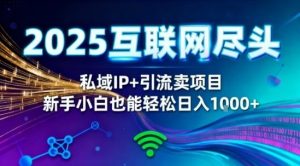 2025年网创新趋势:私域IP打造与精准引流实战,零基础也能轻松上手实现稳定收益-小伟资源网