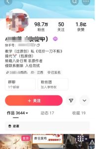 快手爆款搬运技巧：一键同框过审，快速制作热门作品-小伟资源网
